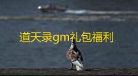 道天录gm礼包福利